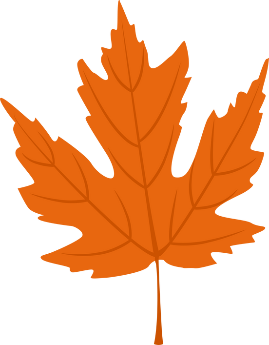 Autumn Leaves Illustration